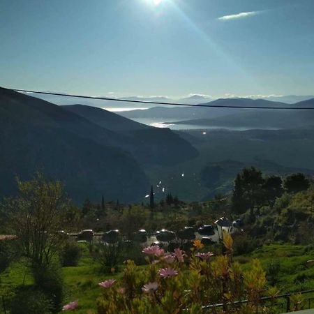 Sun View Guesthouse Delphi Bagian luar foto