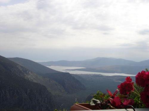 Sun View Guesthouse Delphi Bagian luar foto