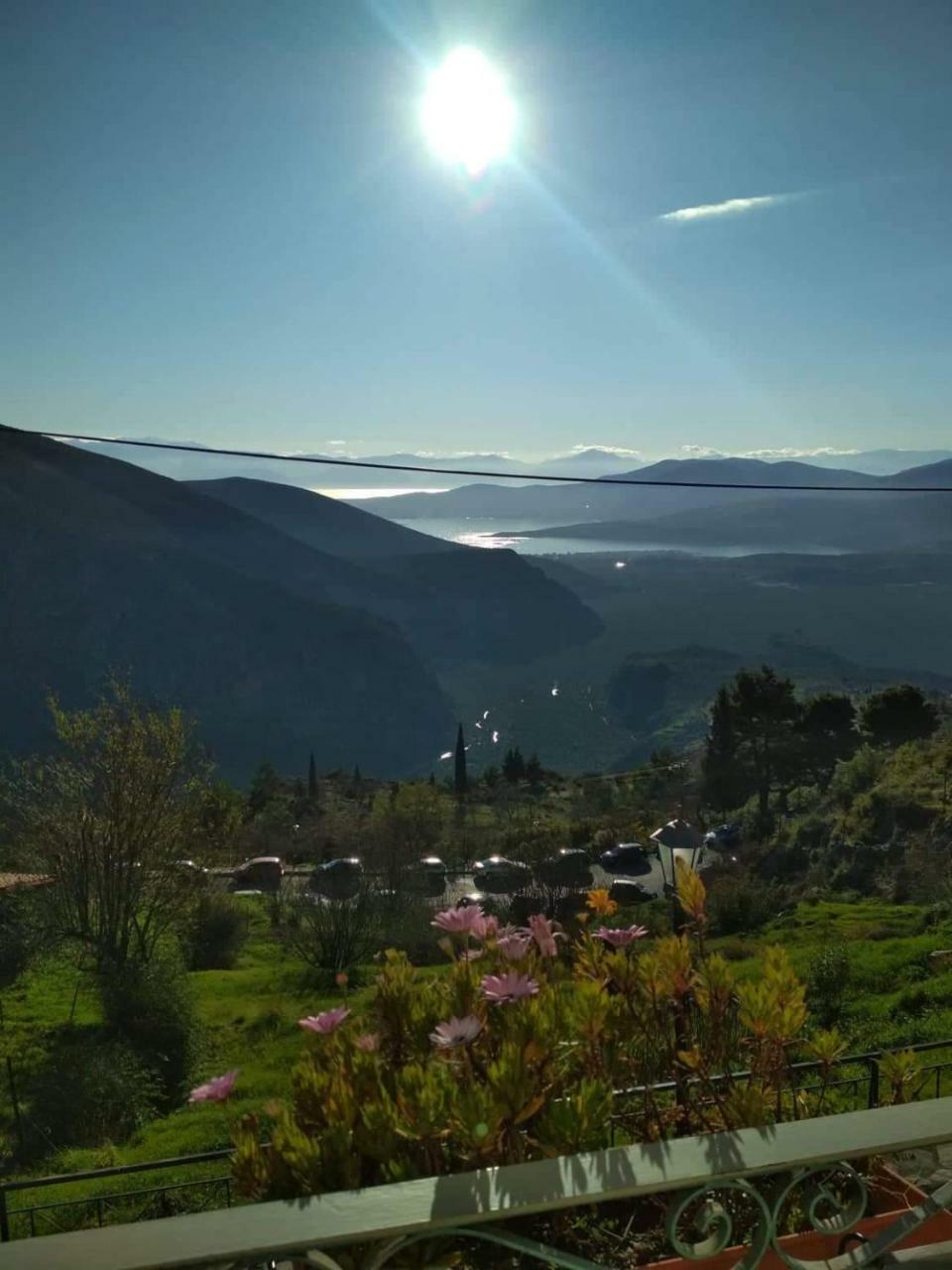 Sun View Guesthouse Delphi Bagian luar foto